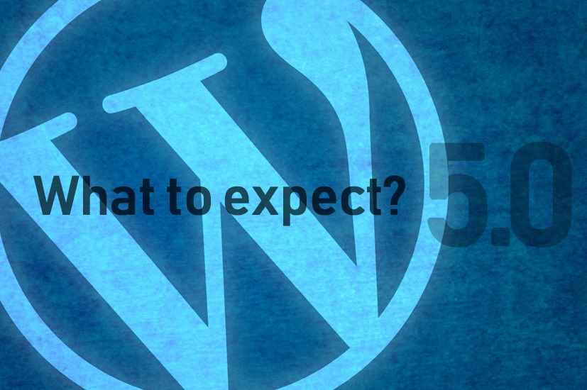 WordPress 5.0 Version: All You Need To Know